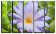 Картина модульная Тюльпан 140x89 см 5-13495543855-FLOW-35x55-GREEN