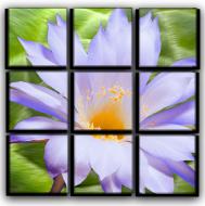 Картина модульная Тюльпан 77x77 см 9-13495543855-FLOW-30x30-GREEN