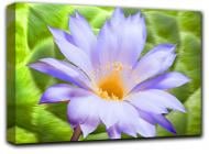 Картина Тюльпан 102x69 см 1-13495543855-FLOW-27x40-GREEN