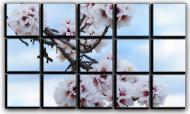 Картина модульная Цветение миндаля 127x77 см 15-2254743857-FLOW-30x50-WHITE
