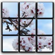 Картина модульная Цветение миндаля 77x77 см 9-2254743857-FLOW-30x30-WHITE