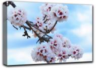 Картина Цветение миндаля 127x84 см 1-2254743857-FLOW-33x50-WHITE