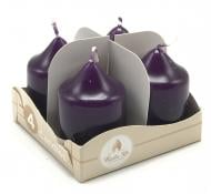 Набор свечей матовых ягодное приключение 60х40 мм 4 шт. Pako-If