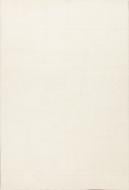 Килим Oriental Weavers GALILEO 1 200x285 см Килим Oriental Weavers GALILEO 1 200x285 см