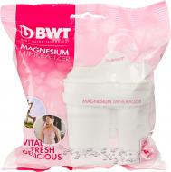 Картридж BWT BWT Magnesium