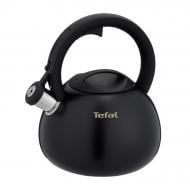 Чайник Tefal Duetto + 2.5 л N4180410