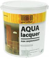 Лак акриловий Aqua Lacquer Spot Colour шовковистий мат 2.5 л