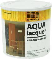 Лак акриловый Aqua Lacquer Spot Colour шелковистый мат 0.75 л