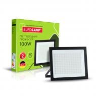 Прожектор светодиодный Eurolamp 100 Вт IP65 черный LED-FL-100/5(black)