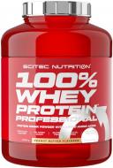 Протеїн Scitec Nutrition Whey Protein Professional арахісове масло 2350 г