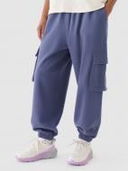 Штани 4F 4FALSAW24TTROF1125-31S р. XL фіолетовий