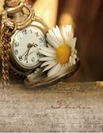 Фотоальбом UFO 10x15x200 PP-46200 Clock