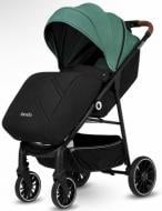Коляска прогулочная Lionelo Alexia Green Forest