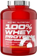 Протеїн Scitec Nutrition Whey Protein Professional солона карамель 2350 г