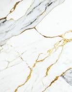 Декоративная панель Panastone ПВХ Carrara Gold 1220х2800x2,8 мм (PS-106)