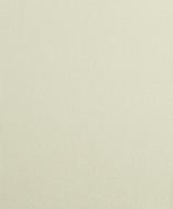 Обои виниловые на бумажной основе Bravo 85011BR11 0,53x10,05 м