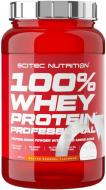 Протеїн Scitec Nutrition Whey Protein Professional солона карамель 920 г