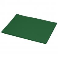 Картон Decoration board А4 №23 зелений темний NPA Картон Decoration board А4 №23 зелений темний NPA