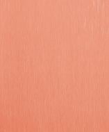 Обои виниловые на бумажной основе Bravo 85080BR31 0,53x10,05 м