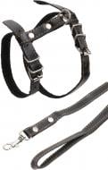 Поводок-шлея Collar 5461 1,2x22-30/30-40 см, черный