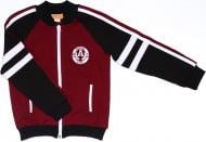 Спортивний костюм Danaya для хлопчика р.146 чорний із червоним ШЯ19-115