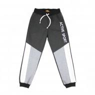 Брюки спортивные Danaya для мальчика р.146 графитовый серый ШЯ19-146