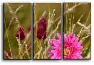 Картина модульная Аллиум 84x56 см Hotel Arizona HD 3-1205343906-FIEL-22x33-PINK