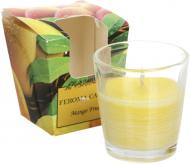 Свічка ароматична Feroma Candle Арома Стопка Mango Fruit