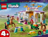 Конструктор LEGO Friends Тренировка лошади 41746