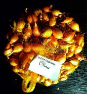 Семена Яскрава лук Olina 1000 г (2210893590016)