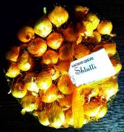 Семена Яскрава лук Shtutti 1000 г (2210893591013)