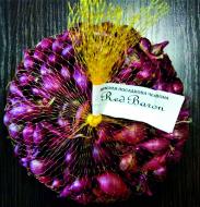 Насіння Яскрава цибуля ріпчаста Ред барон 1000 г (2210893592010)