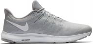 Кроссовки мужские Nike QUEST AA7403-010 р.45 серые
