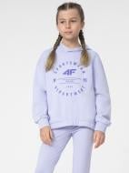 Джемпер 4F SWEATSHIRT F218 4FJSS23TSWSF218-52S розовый