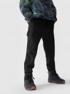 Брюки 4F TROUSERS CAS M760 4FJWAW24TTROM760-20S р. 134 черный