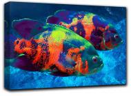 Картина Морская жизнь 102x59 см Hotel Arizona HD 1-15565043939-FISH-23x40-BLUE