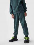Брюки 4F TROUSERS CAS M761 4FJWAW24TTROM761-40S р. 152 зеленый