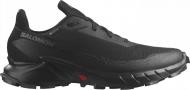 Ботинки Salomon ALPHACROSS 5 GTX L47307500 р.42 черный