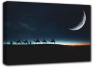 Картина Луна 77x51 см Hotel Arizona HD 1-705543946-MOON-20x30-BLACK