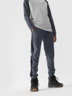 Брюки 4F TROUSERS CAS M759 4FJWAW24TTROM759-22S р. 164 серый