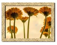 Картина Прекрасные цветы 41x31 см Hotel Arizona HD 1 GOLDEN FR-8573643956-FROM-12x1