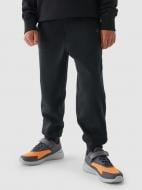 Брюки 4F TROUSERS CAS M761 4FJWAW24TTROM761-20S р. 164 черный