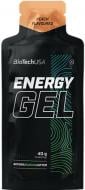 Енергетик BioTechUSA Energy Gel Персик (5999076251001) 1 шт./уп. 40 г