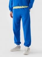 Брюки 4F TROUSERS CAS M0824 4FWAW24TTROM0824-36S р. 2XL голубой Брюки 4F TROUSERS CAS M0824 4FWAW24TTROM0824-36S р. 2XL голубой