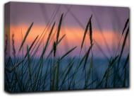 Картина На закате 41x28 см Hotel Arizona HD 1-22144443956-AT T-11x16-VARIO