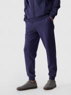 Штани 4F TROUSERS CAS M0943 4FWMM00TTROM0943-31S р. 2XL синій