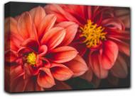 Картина Романтические цветы 102x69 см Hotel Arizona HD 1-22594743956-PURE-27x40-RED
