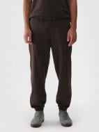 Брюки 4F TROUSERS CAS M0824 4FWAW24TTROM0824-80S р. 2XL коричневый