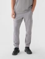 Штани 4F TROUSERS CAS M1100 RL9SAW24TTROM1100-25S р. 2XL сірий