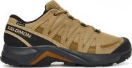 Кроссовки мужские Salomon X-ADVENTURE RECON GTX L47813100 р.43,5 хаки